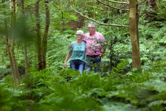 Wandelen in het bos | Hof Domburg & Buitenhof Domburg